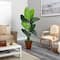 5.5ft. Travelers Palm Artificial Tree in Brown Planter